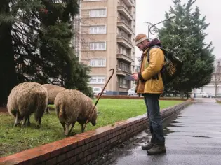 L'agriculture urbaine, espoir pour la ville de demain ?