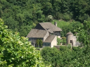 Une seconde vie pour la toiture d'un château du XIIIe siècle