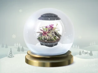 16 décembre : un terrarium design pour une note tropicale