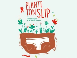 Découvrez l'état de vos sols avec l'opération "Plante ton slip" !