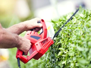 Jardin : ce que vous avez le droit de faire sans gêner vos voisins