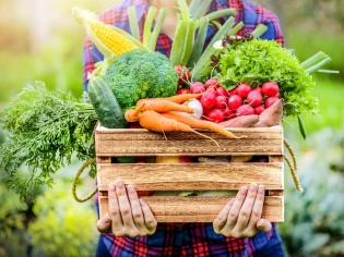 Comment adapter son potager au changement climatique ?