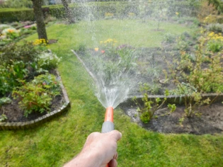 Dix astuces pour économiser l'eau au jardin 