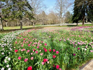 Créer le jardin de ses rêves : les conseils du chef jardinier de Cheverny