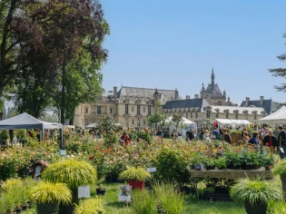 Les Journées des plantes de Chantilly mettent le parfum à l'honneur