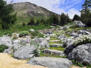 A la découverte du jardin du Lautaret à 2100 mètres d'altitude 