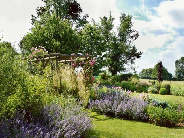 Palette végétale - jardin picard