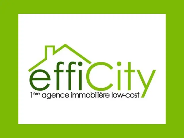 Logo Efficity