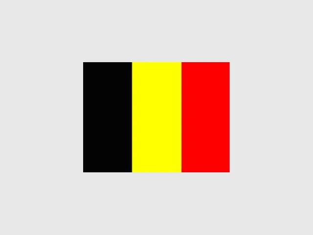 drapeau belge