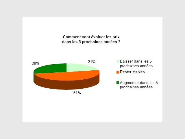 Une baisse des prix ? Pas pour tout de suite - empruntis 2008