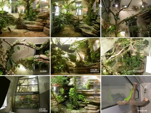 Ecosculpture jungle 2