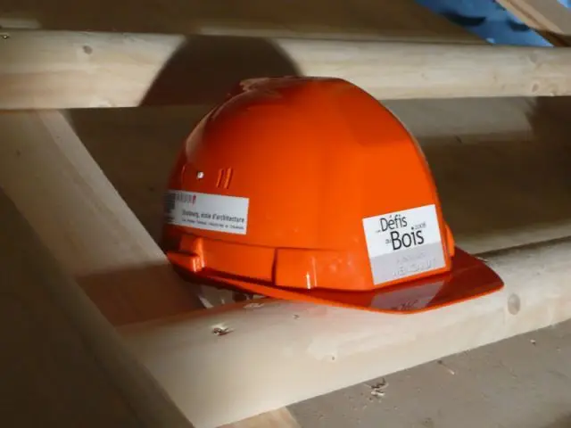 Casque - defis du bois 2008