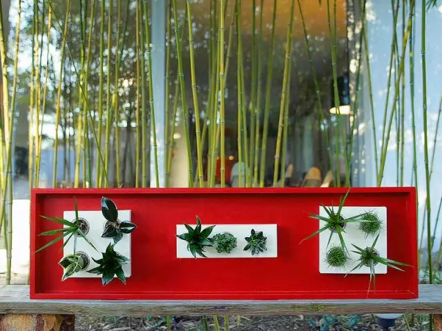 Sur un banc - Flowerbox plante décoration mur