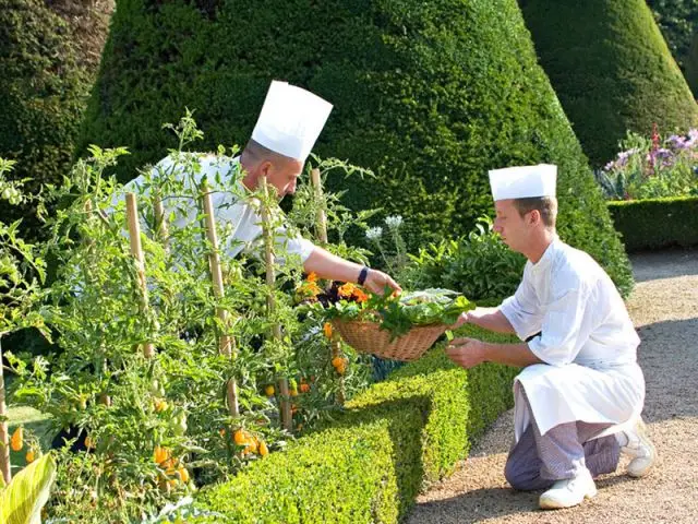 Potager - Château de Pizay