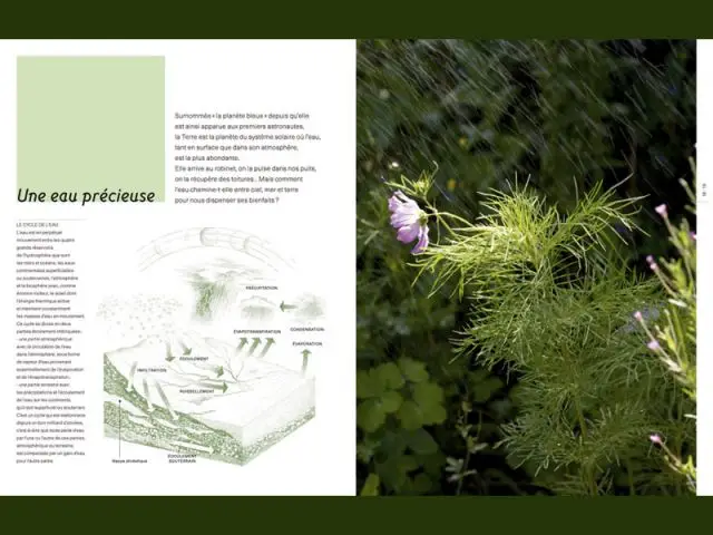 Une eau précieuse - Livre l'eau au jardin