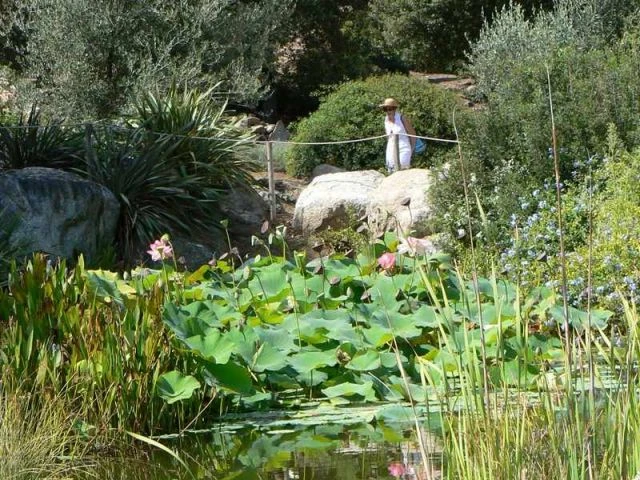 jardin - événement Rendez-vous aux jardins