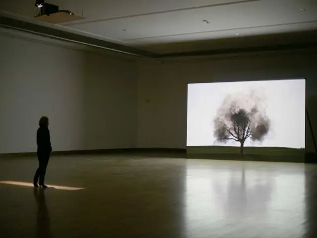 John Gerrard - Smoke tree - Festival des arts numériques 2008