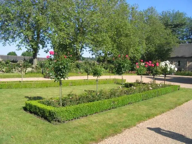 Le jardin Androuet du Cerceau - Prieuré de Saint-Cosme