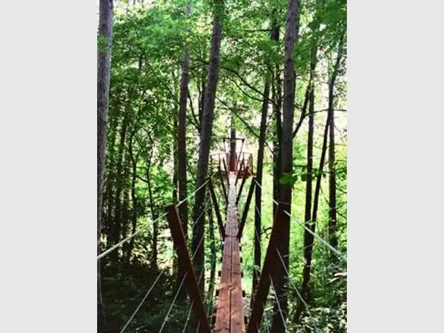 Passerelle pour atteindre la cabane