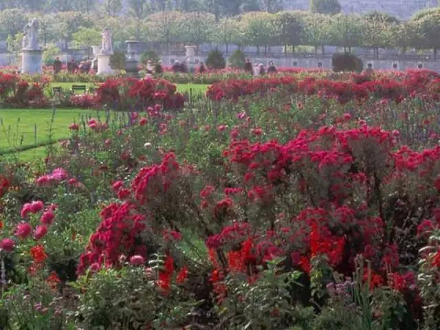 Jardin des Tuileries de Paris