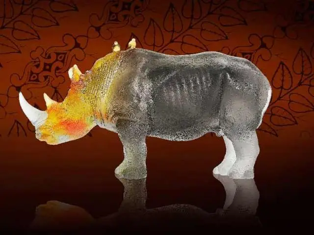 Rhinocéros