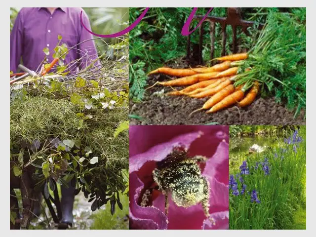 Truffaut du jardin écologique