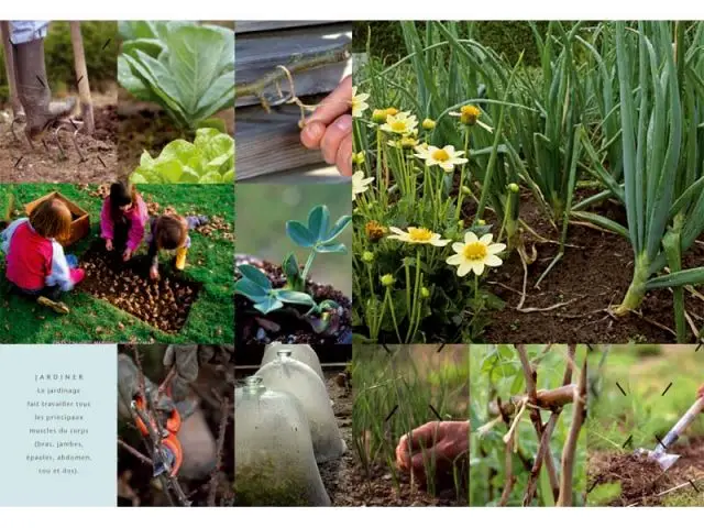 Jardiner - Truffaut du jardin écologique