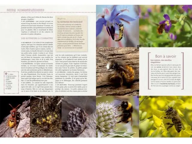 Zoom encyclopédique - Truffaut du jardin écologique