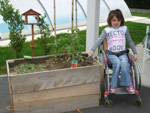 Potager accessible