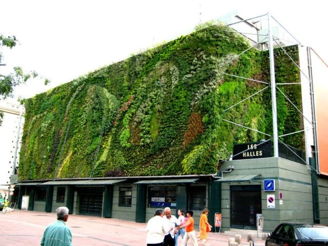 Halles - Patrick Blanc - Le Mur Végétal