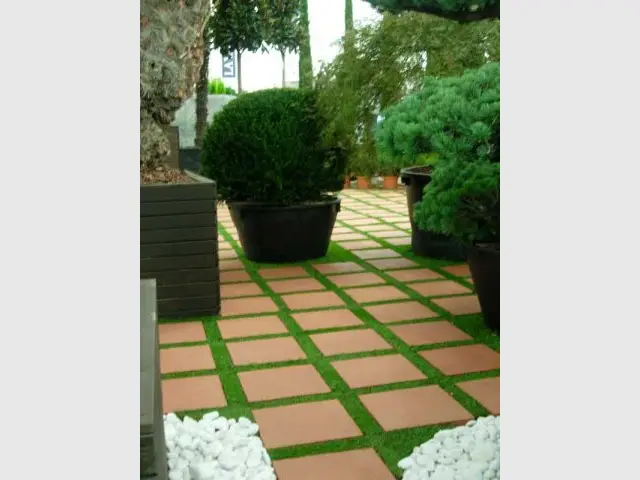 jardineria cevisama