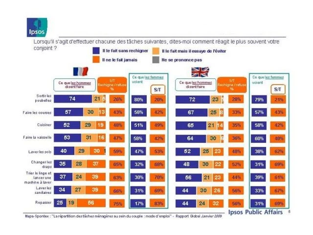 ipsos enquête repartition ménage 2