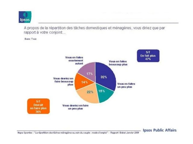 enquete ipsos repartition menage 4