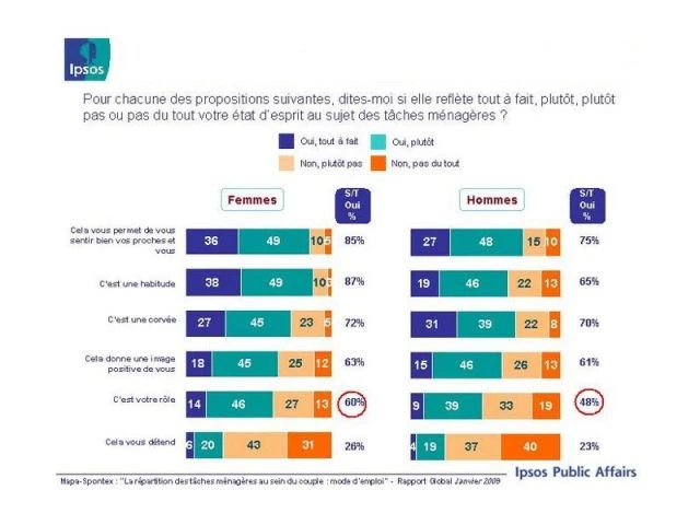 ipsos enquête repartition menage 7