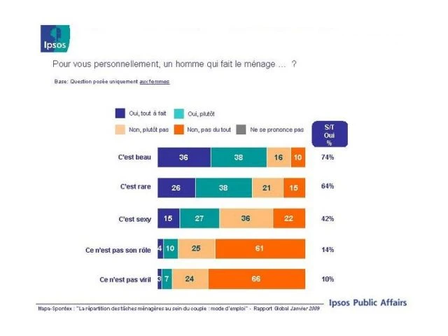 enquete ipsos repartition menage 9