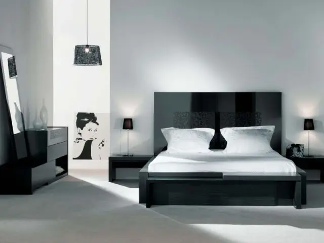 Chambre noire et blanche