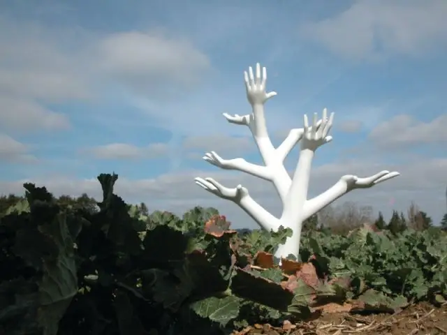 Exposition Jardins Divers