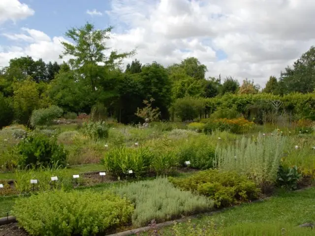 Conservatoire National des plantes à parfum