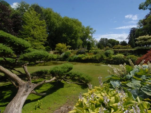 jardin domaine de courances