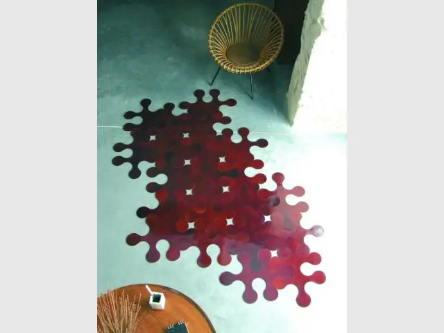 tapis molecule