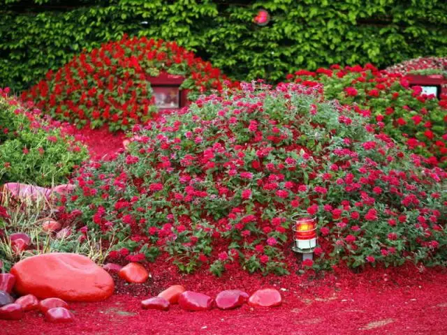 Voir rouge - Festival des Jardins de Chaumont sur Loire 2009