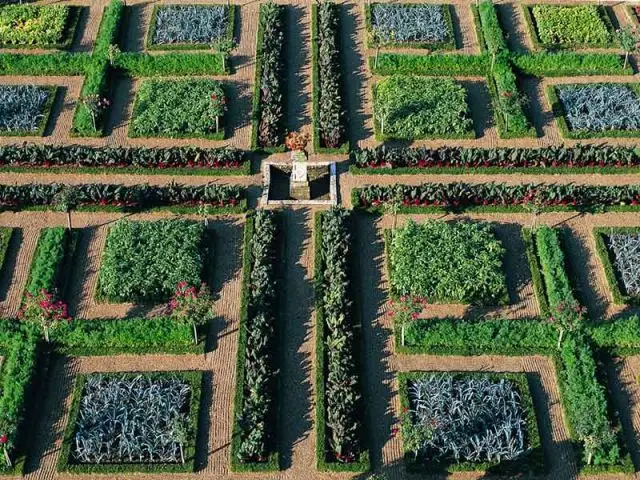 Jardin du château de Villandry