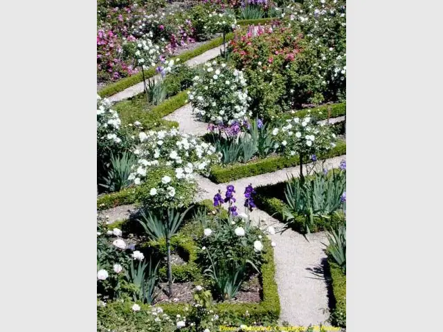 Jardin des roses, Compiègne