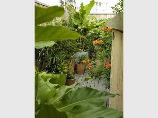 Cabane de rangement - Reportage terrasse sur les toits de Paris - Sabz