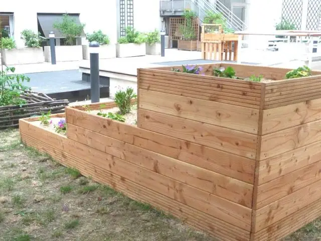 Un potager adapté - Jardin Curie