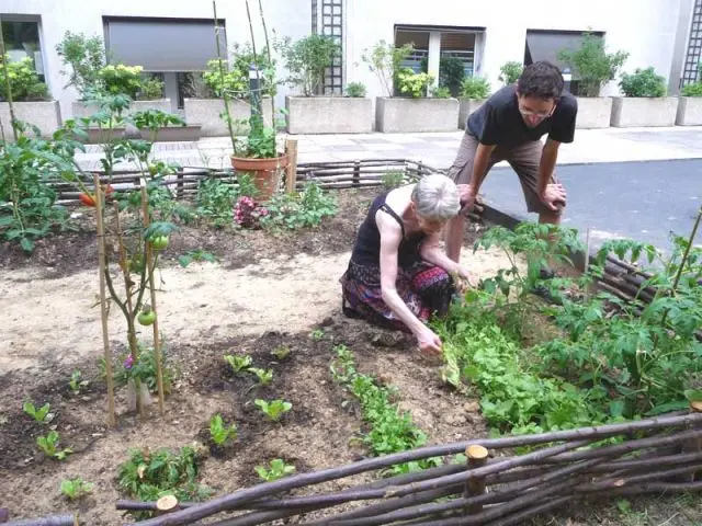 Jardin Curie