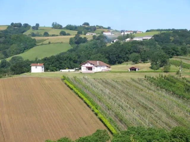 La vue générale du domaine - maison basque