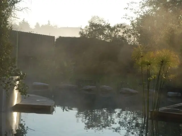 piscine naturelle - l'Orangerie