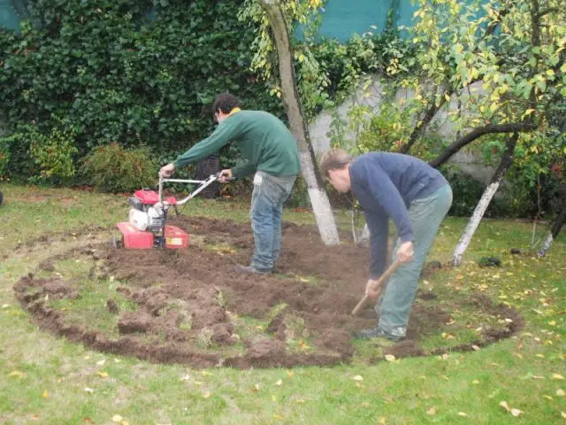 Terrassement - Bassin jardin