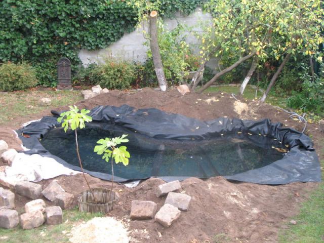 Comment créer un bassin de jardin avec liner ? - Truffaut 